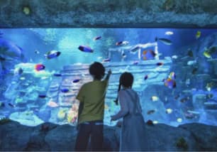 legoland malaysia sealife